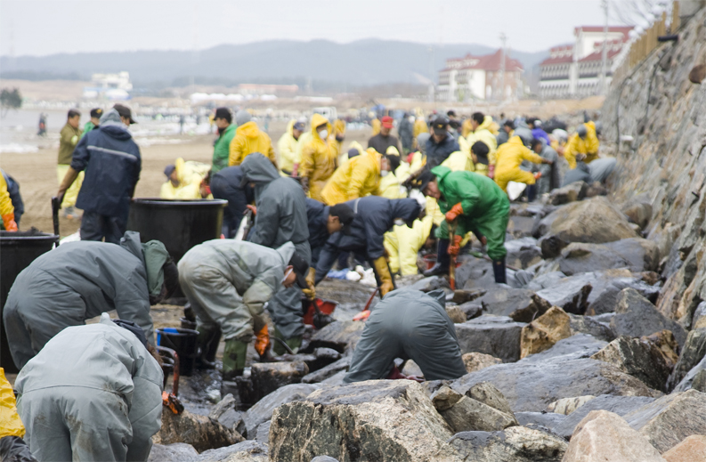 태안 바다 유츌된 기름 닦는 이미지