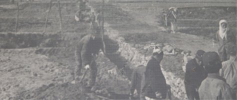 영상자료 이미지